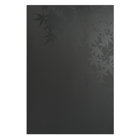 027.10769.82n3-protection-murale-erable-acier-noir-givre-serigraphie-noir