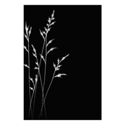 027.10609.80n3-protection-murale-champetre1