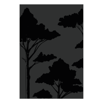 027.10824.82n3-protection-murale-canopee-haute-noir-verni-brillante