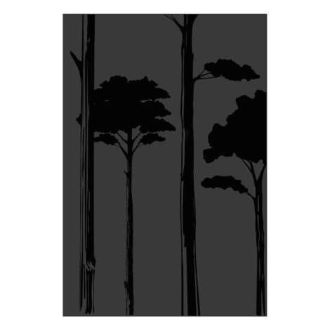 027.10825.82n3-protection-murale-canopee-basse-noir-verni-brillante